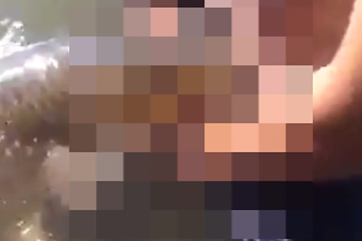 Mãe bate em filho e avó ao descobrir que ele assistia zoofilia no Telegram – Folha de Dourados – Notícias de Dourados-MS e região