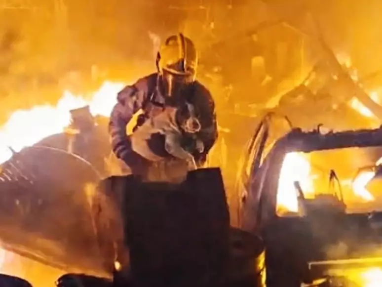 Cadela é resgatada de incêndio de grandes proporções em depósito – Folha de Dourados – Notícias de Dourados-MS e região