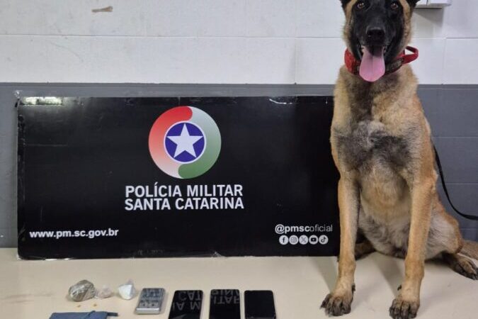 Cão farejador localiza drogas escondidas em bolsa e mulheres são presas por tráfico em Siderópolis – Siderópolis Notícias