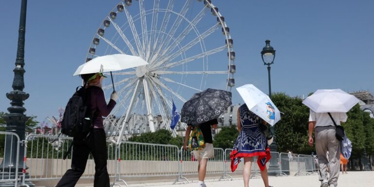 europa:-temperatura-alta-pode-elevar-transmissao-do-virus-chikungunya