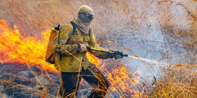 governo-divulga-planejamento-para-enfrentar-incendios-em-2026