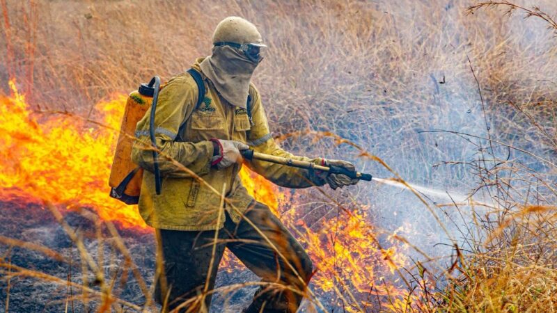 Governo divulga planejamento para enfrentar incêndios em 2026