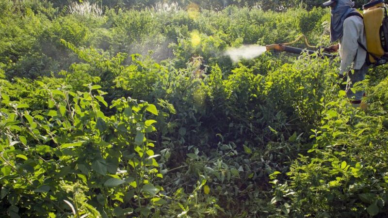 Comitê lista ações prioritárias para Programa de Redução de Agrotóxico