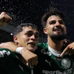 palmeiras-derrota-novorizontino-e-fica-perto-do-titulo-paulista