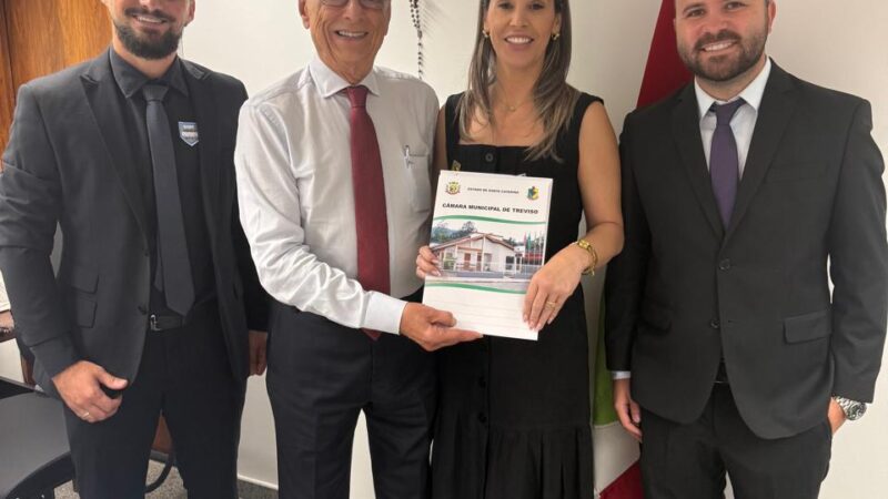 Vereadores de Treviso cumprem agenda em Brasília – Siderópolis Notícias