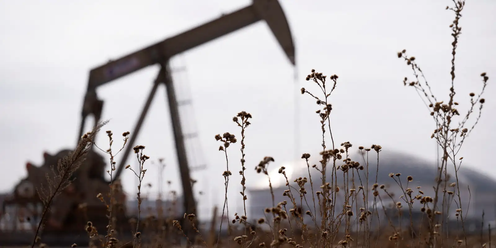 Países decidem liberar reservas de petróleo em meio à guerra no Irã