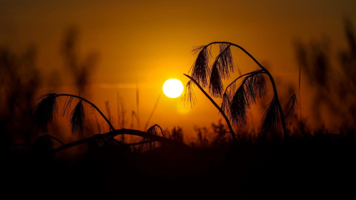 Sol e calor intenso marcam o último fim de semana de verão