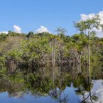 governo-levantou-r$-179-bi-desde-2023-para-transicao-ecologica