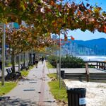 outono-deve-registrar-temperaturas-acima-da-media-e-ampla-variacao-termica-em-santa-catarina-–-sideropolis-noticias