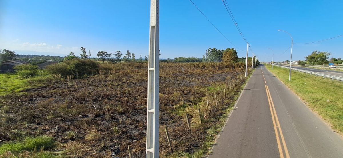 Bombeiros de Forquilhinha atuam em incêndio de grandes proporções em vegetação