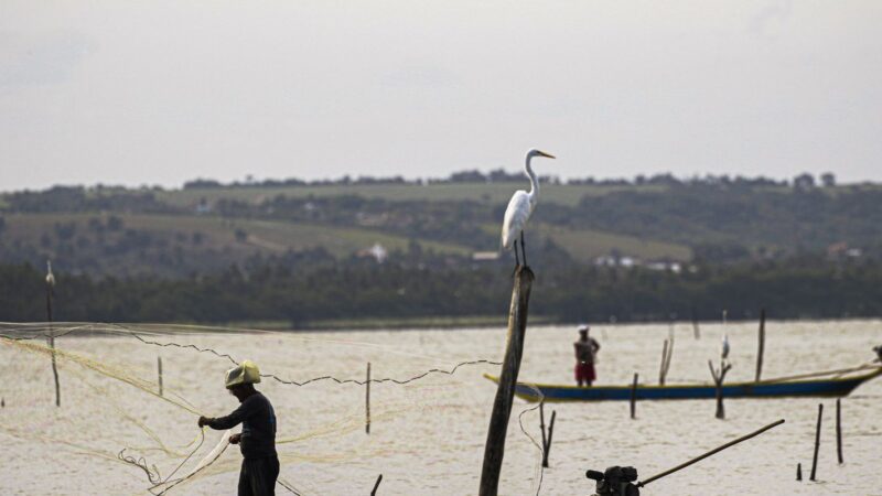 Sexto lote do seguro-defeso será disponibilizado na terça-feira
