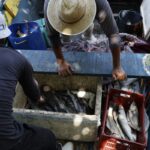 pescadores-beneficiados-pelo-seguro-defeso-recebem-6o-lote-nesta-terca
