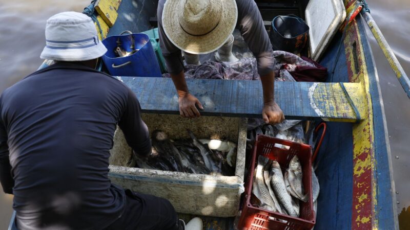 Pescadores beneficiados pelo Seguro-Defeso recebem 6º lote nesta terça