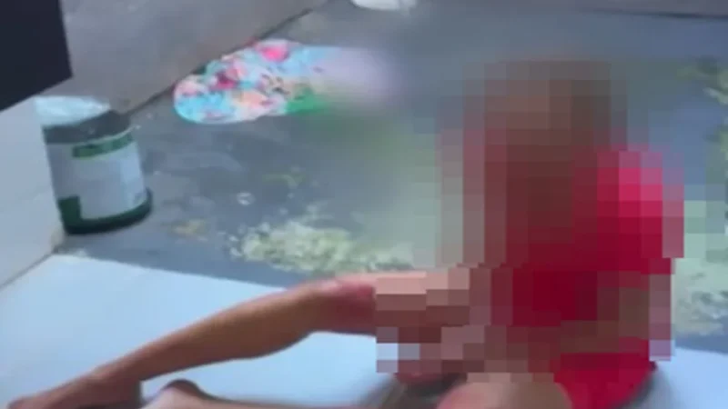 Queda do 3º andar: marido torturou mulher em apartamento durante dias – Portal Carbonífera