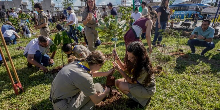 cop15-no-brasil-promove-conexao-entre-povos-e-territorios