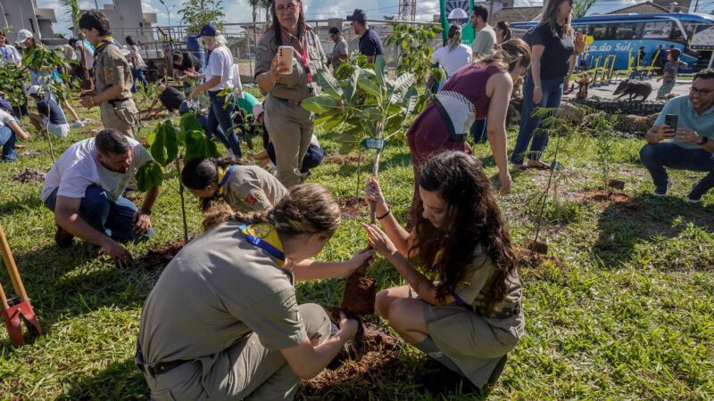COP15 no Brasil promove conexão entre povos e territórios