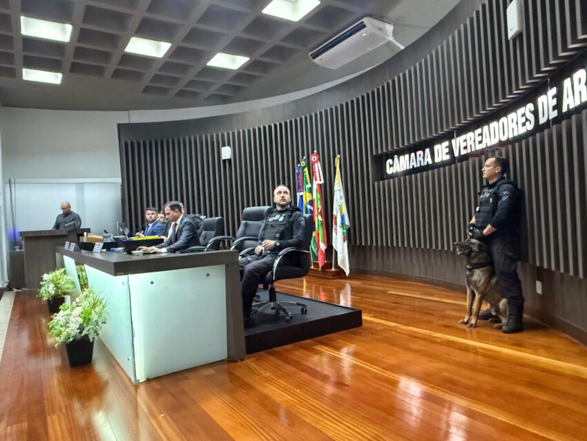 Câmara recebe apresentação do Sistema Socioeducativo da Regional Sul