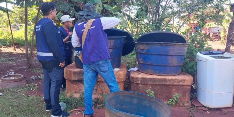 chikungunya:-ministro-classifica-como-critica-situacao-em-dourados