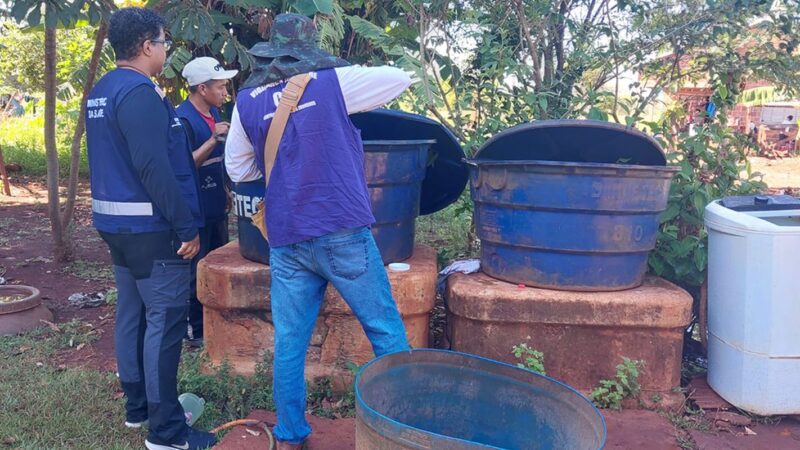 Chikungunya: ministro classifica como crítica situação em Dourados