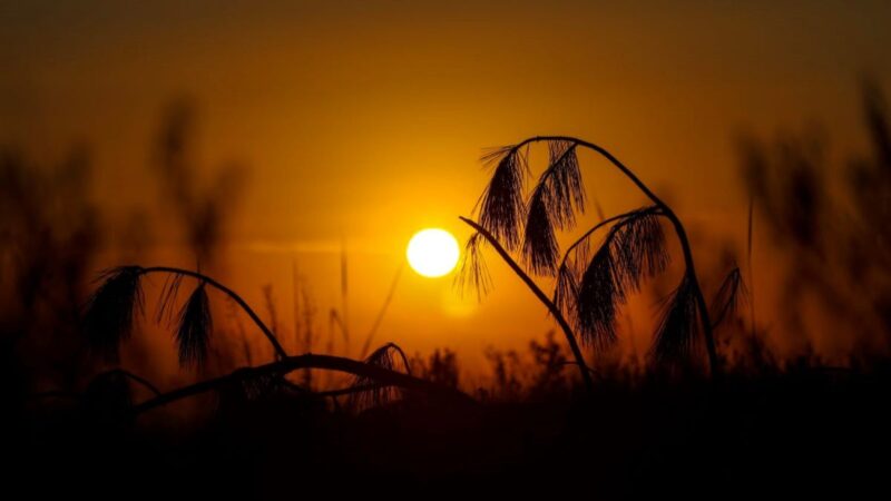 Previsão do tempo: feriado de Páscoa será de sol e temperaturas próximas dos 30°C