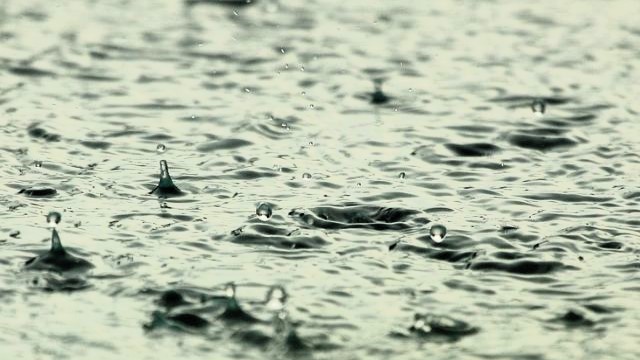 Semana começa com chuva intensa e termina com temperaturas amenas