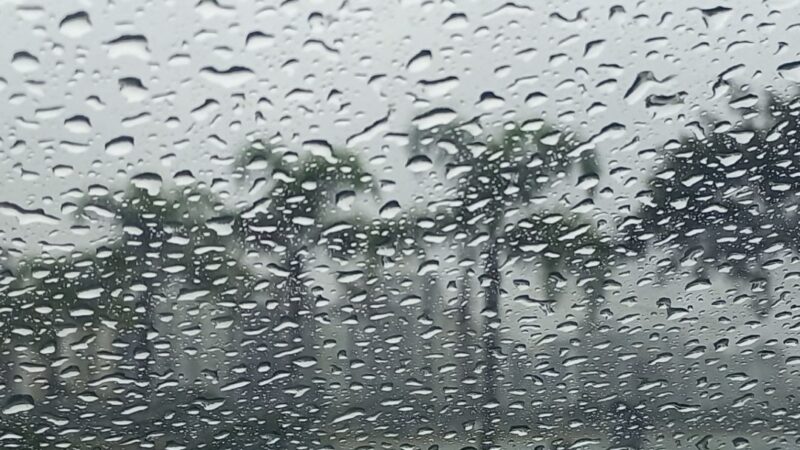 Semana começa com chuva intensa e termina com temperaturas amenas em Santa Catarina – Siderópolis Notícias