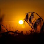 tempo:-sol-e-tardes-quentes-marcam-o-fim-de-semana-e-o-feriado-de-tiradentes
