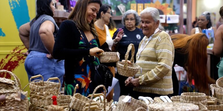 brasil-ja-tem-4,5-milhoes-de-empreendedores-da-economia-prateada