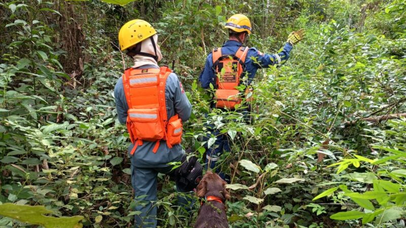 Homem desaparecido em Nova Veneza é encontrado morto por bombeiros de Forquilhinha