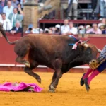 toureiro-famoso-e-gravemente-ferido-por-touro-–-folha-de-dourados-–-noticias-de-dourados-ms-e-regiao