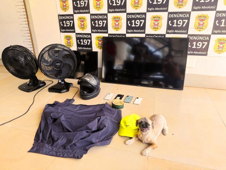 Ladrão que roubou cachorro da raça Shih Tzu, veículo e outros bens de família é preso
