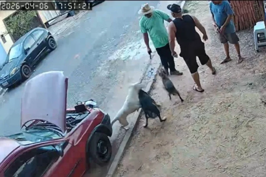 Vereador que atirou contra cães é alvo de processo – Folha de Dourados – Notícias de Dourados-MS e região