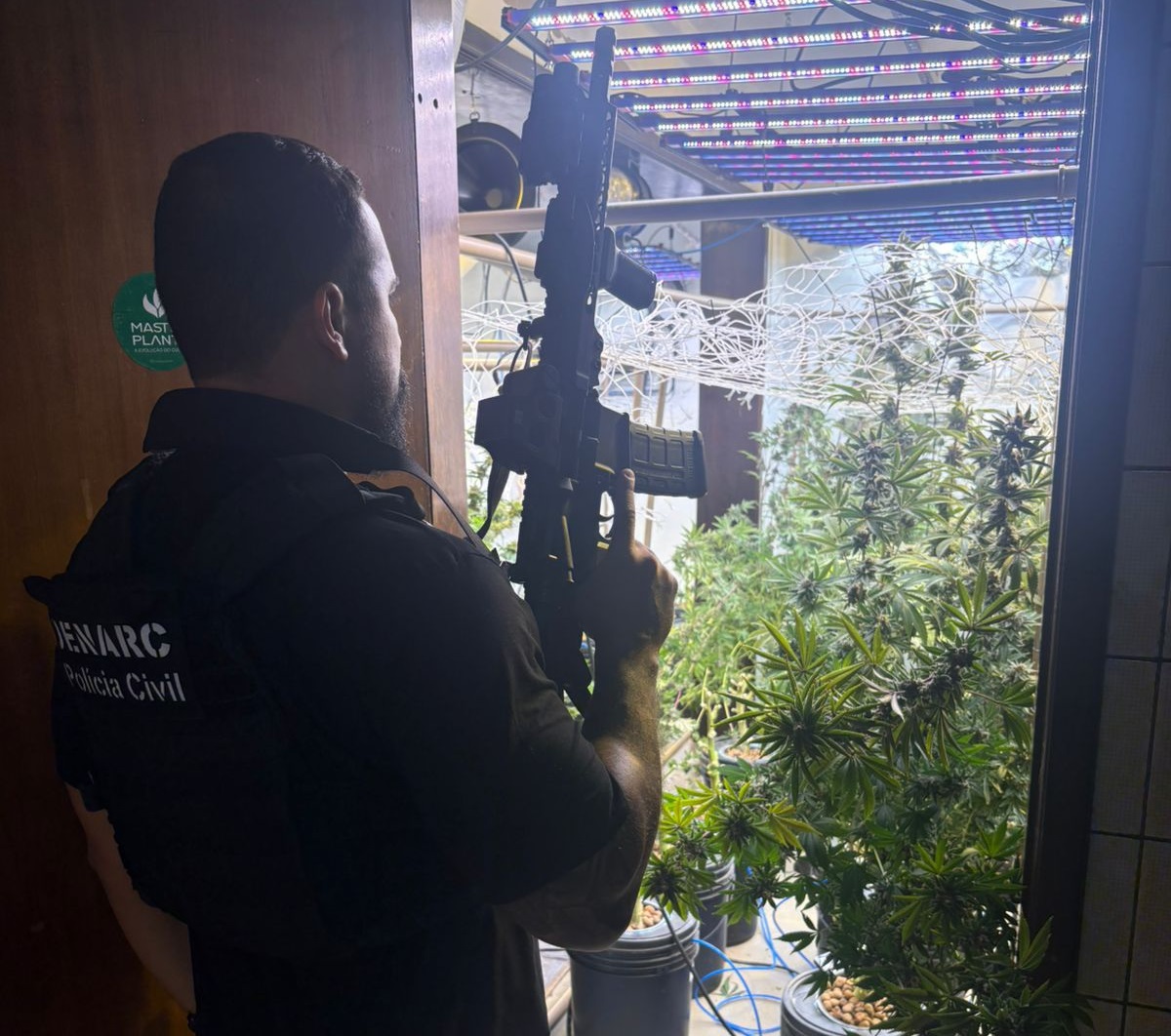 PC localiza laboratório de cultivo de maconha e prende três pessoas
