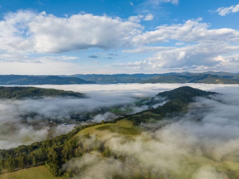 santa-catarina-registra-geadas-e-temperaturas-negativas-e-feio-permanece-no-inicio-desta-semana-–-sideropolis-noticias