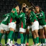 palmeiras-derrota-botafogo-e-se-aproxima-da-lideranca-no-br-feminino