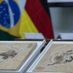 brasil-quer-recuperar-dinossauros-e-patrimonios-que-estao-em-14-paises