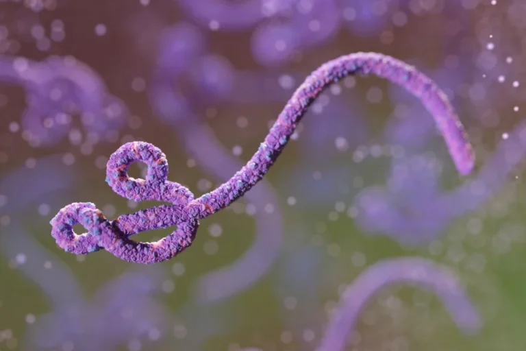 surto-de-ebola-na-africa:-entenda-como-a-doenca-e-transmitida-–-folha-de-dourados-–-noticias-de-dourados-ms-e-regiao