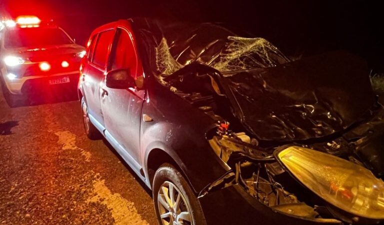 Colisão violenta entre carro e cavalo destrói veículo e mata animal na SC-285, em Turvo