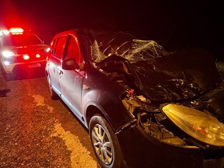 Colisão violenta entre carro e cavalo destrói veículo e mata animal na SC-285, em Turvo
