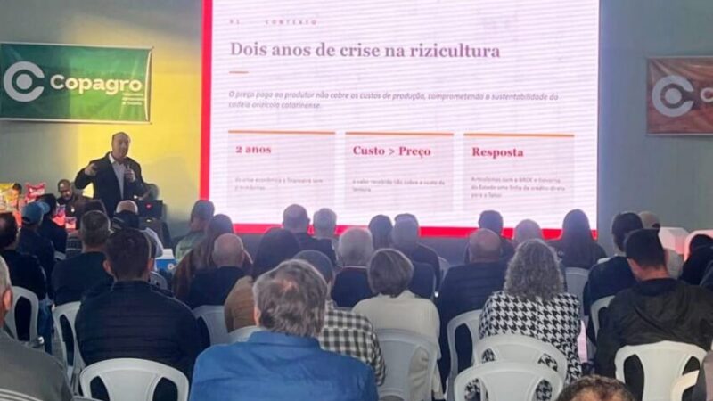 Leilão da Conab movimenta 2,5 mil toneladas de arroz catarinense e reforça apoio aos produtores