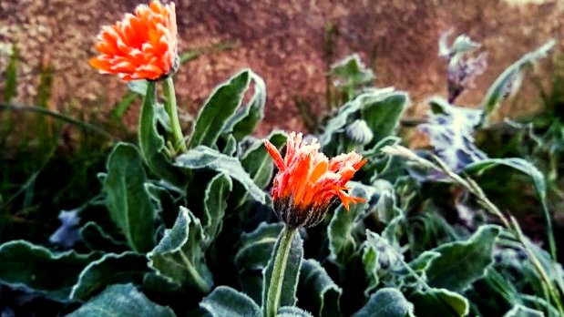 inverno-traz-onda-de-frio-intenso-ao-longo-da-semana:-fique-atento