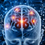 cientistas-criam-o-mais-detalhado-atlas-3d-do-tronco-encefalico-humano-–-folha-de-dourados-–-noticias-de-dourados-ms-e-regiao