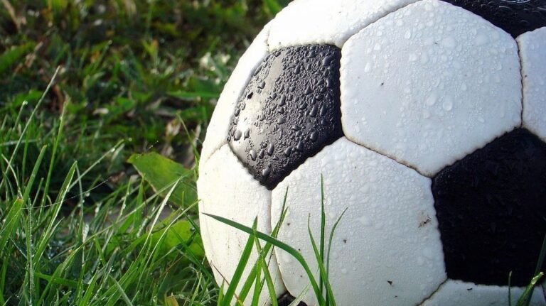 festival-projetando-vidas-reune-cinco-modalidades-esportivas-neste-domingo-em-forquilhinha