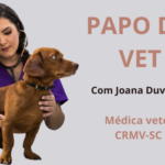 ansiedade-de-separacao:-quando-a-saudade-vira-sofrimento-–-sideropolis-noticias