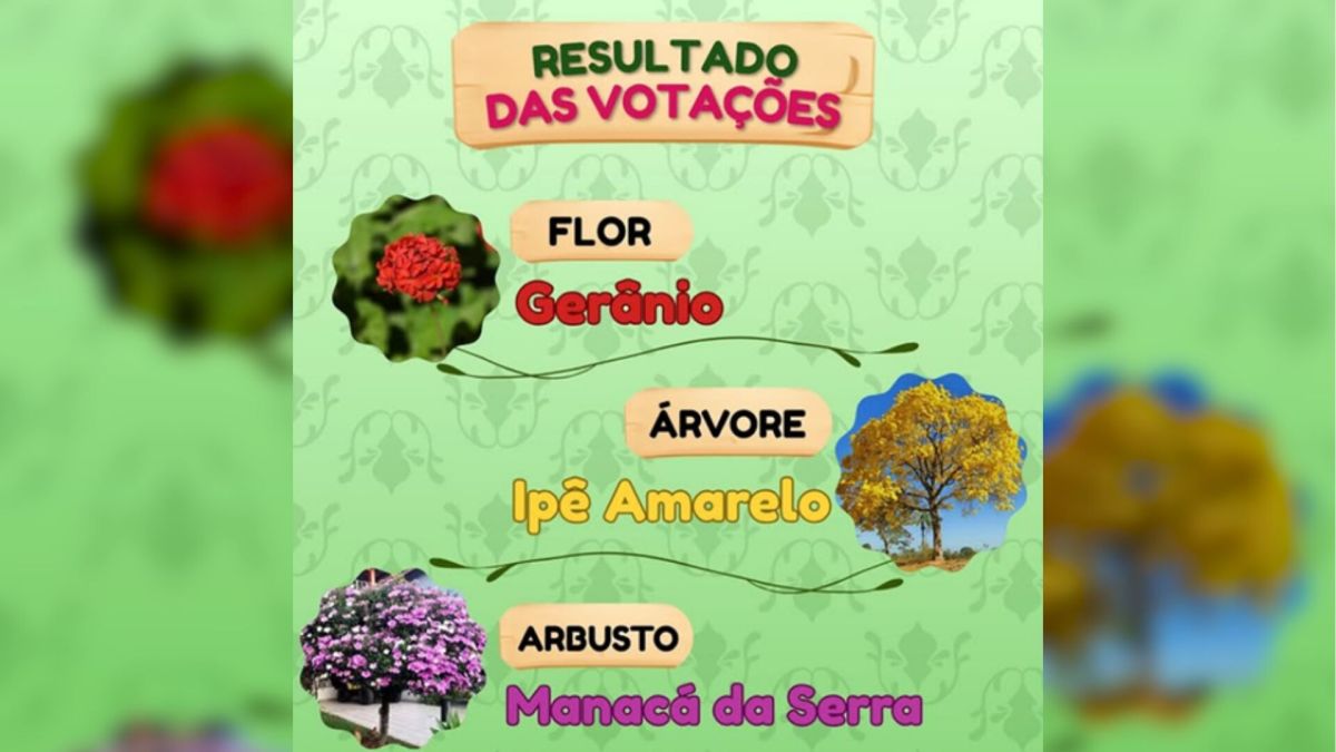 geranio,-ipe-amarelo-e-manaca-da-serra:-os-simbolos-naturais-de-forquilhinha